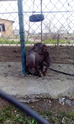 بمناسبت گرامیداشت دهه ی سرآمدی آموزش و به همت گروه علوم پایه

بازدید دانشجویان پردیس شهید رجایی آذربایجان غربی از پارک ملی دریاچه ارومیه و باغ وحش
 3