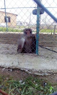 بمناسبت گرامیداشت دهه ی سرآمدی آموزش و به همت گروه علوم پایه

بازدید دانشجویان پردیس شهید رجایی آذربایجان غربی از پارک ملی دریاچه ارومیه و باغ وحش
 4