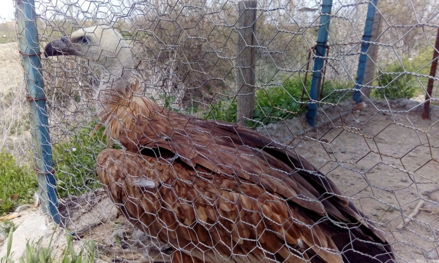 بمناسبت گرامیداشت دهه ی سرآمدی آموزش و به همت گروه علوم پایه

بازدید دانشجویان پردیس شهید رجایی آذربایجان غربی از پارک ملی دریاچه ارومیه و باغ وحش
 5