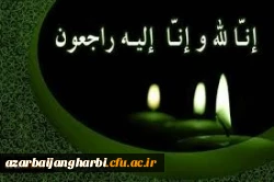 498378_3280633484_275_183