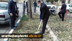 گرامیداشت هفته درخت و درختکاری وتقارن آن با میلاد با سعادت امام حسین (ع) وروز پاسدار 6