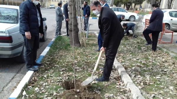 گرامیداشت هفته درخت و درختکاری وتقارن آن با میلاد با سعادت امام حسین (ع) وروز پاسدار 6