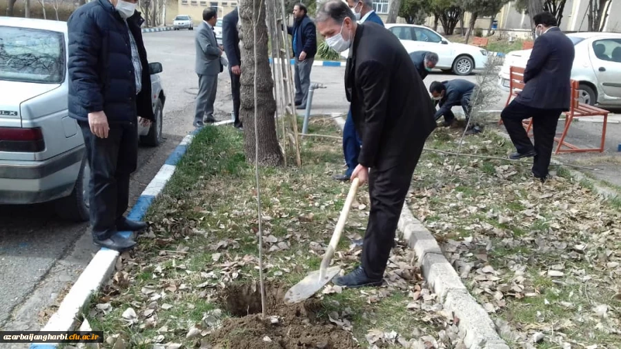 گرامیداشت هفته درخت و درختکاری وتقارن آن با میلاد با سعادت امام حسین (ع) وروز پاسدار 6