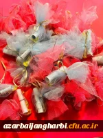 برگزاری سه شنبه های مهدوی-پردیس علامه طباطبایی ارومیه 5