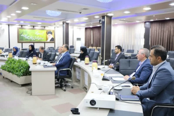 جلسه کارگروه راهبری استان در امور کارورزی دانشجویان برگزار شد 3