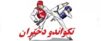 فرم شرکت کنندگان در مسابقات مجازی قهرمانی تکواندو دانشگاه فرهنگیان سراسر کشور (دختران)