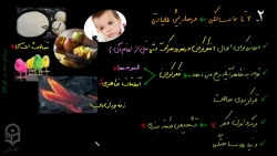 جلسه اول- مراحل رشد